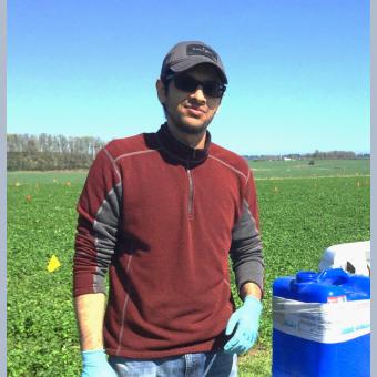 Application of palisade on crimson clover to increase seed yield.